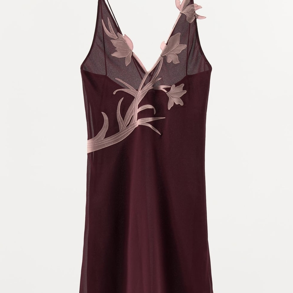 NWT Zara Floral Embroidered Dress XS